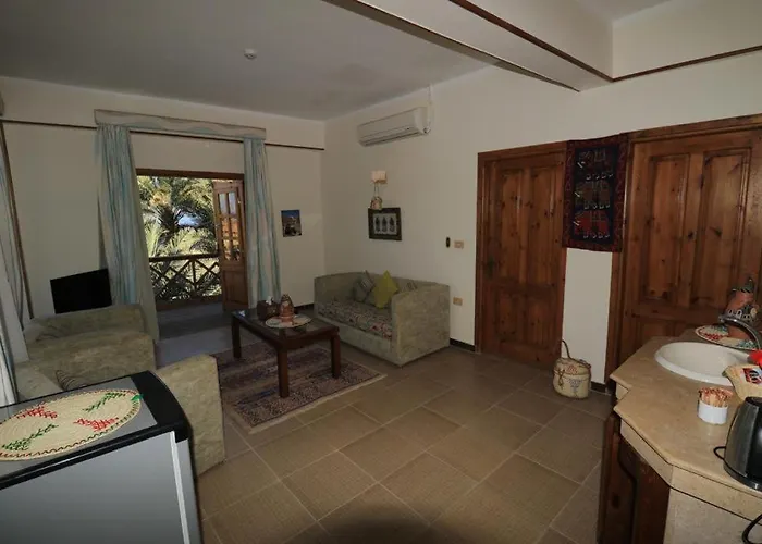 Acacia 3*