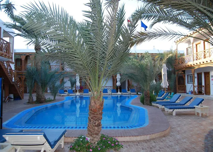 Acacia Dahab