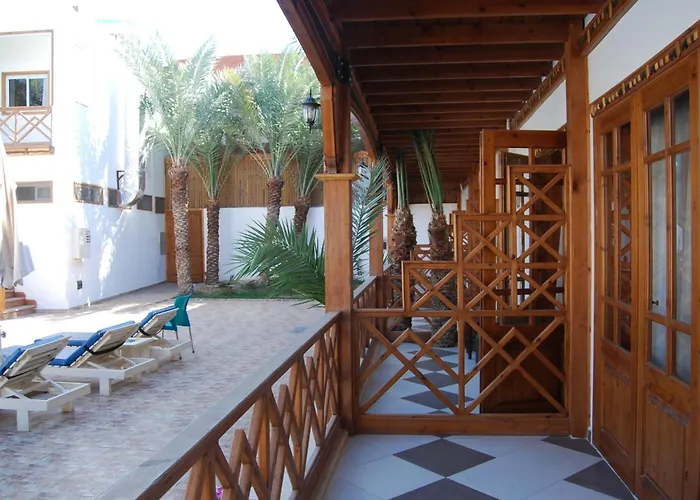 Acacia Dahab