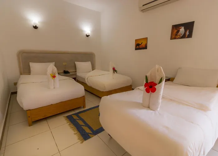 Acacia 3* Dahab
